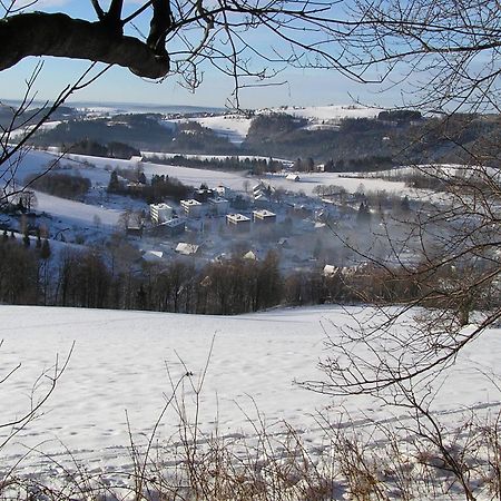 Penzion Otmarka Těchonín Buitenkant foto