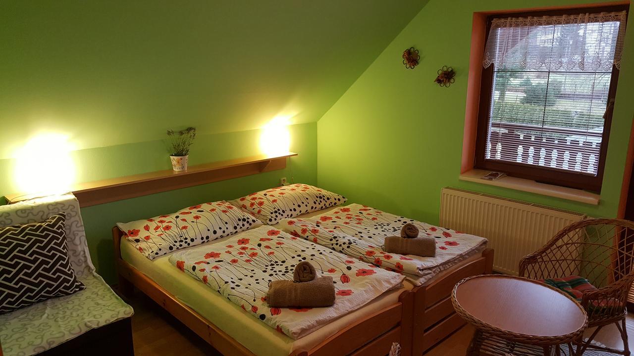 Penzion Otmarka Těchonín Buitenkant foto